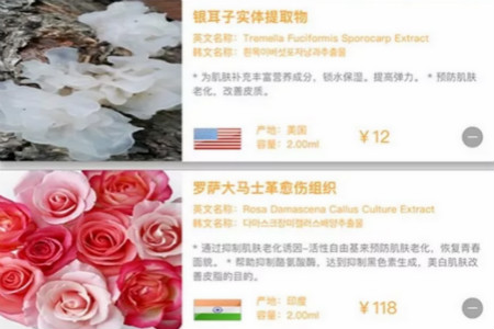 NEWNEW|比大牌還好用的私人定制，C位占領我的化妝臺！