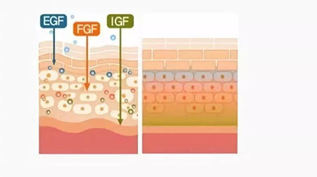 敏感肌不能化妝？良心推薦這款修復遮瑕霜！